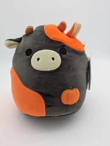 Squishmallows Jefferson Kuh 8 Zoll Plüsch NEU Halloween 2025 orange schwarzer Kürbis #3 - Bild 1 von 4
