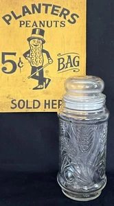 Vintage 1982: PFLANZGEFÄSSE "Pflanzgefäße Design" GLASDOSE mit Deckel ~ gebraucht - Bild 1 von 8