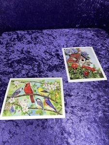 Set of 2 Blank Any Occasion Bird Cards Glossy Beautiful Artwork Birdhouse Nature - Picture 1 of 4