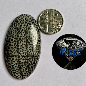 FOSSILISED CORAL OVAL CABOCHON, DRILLED. MINED AND CUT IN INDIA - Foto 1 di 6