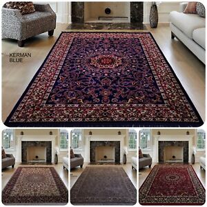 New Oriental Style Soft Area Rugs Small and Large Sizes Carpet for Home Decor