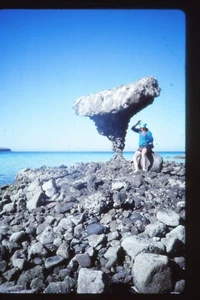 Vintage Film Slide 35mm  Rafting in Baja - Picture 1 of 1