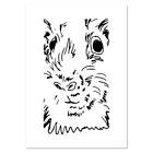 'Guinea Pig Face' Wall Posters / Prints (PP020781)