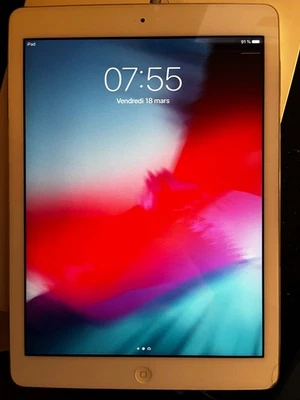 Apple iPad Air A1474 - 16 Go WiFi - gris Silver - En boîte  - Photo 1/4