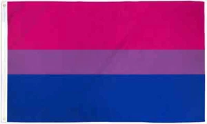 Bandera Orgullo Bisexual 4x6 pies Poli Orgullo para LGBTQ Mes del Orgullo Queer Bi Orgullo Bandera - Imagen 1 de 3