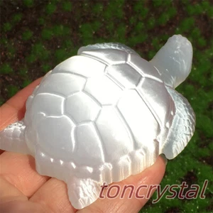 3" Natural Selenite Turtle Skull Carved Crystal Skull Quartz Animal Healing 1pc - Picture 1 of 15