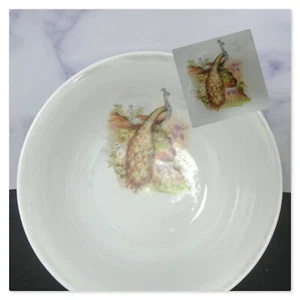 Very Old German Porcelain Bowl with Peacock Birds - Picture 1 of 7