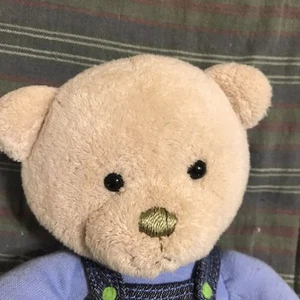 Carters 9 Zoll unterwegs Flugzeug Teddybär Overall Rassel Spielzeug - Bild 1 von 4