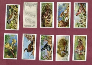 Tobacco cigarette cards Birds & their Young, Golden Eagle,Song Thrush,Buzzard,.. - Bild 1 von 5