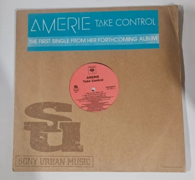 Amerie - Take Control / That's What U Are (12" VINYL SINGLE) - Image 1 of 4