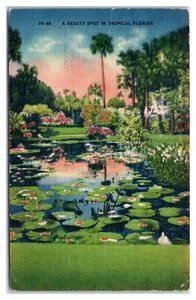 Schöner Ort im tropischen Florida verschickt Bushnell FL 1961 Postkarte - Bild 1 von 2