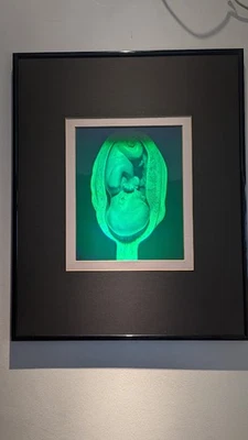 Hochwertiges 3 d- Hologramm Bild - Bild 1 von 3