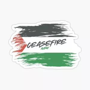 Cease Fire Now Sticker Palestine flag USA - Picture 1 of 1