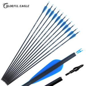 Flechas de carbono 28""/30"" 31"" Caza Columna Disparo 500 Tiro con Arco Arco Compuesto Arco - Imagen 1 de 9