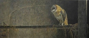 Robert Bateman - Catching the Light Barn Owl - Paper Print - Mint in envelope - Picture 1 of 1