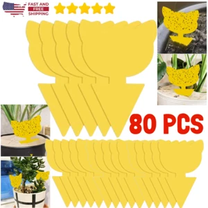80pcs Sticky Fruit Fly Traps, Fungus Gnat Killer Trap use for Indoor Outdoor - Picture 1 of 23