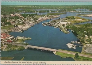Aerial View Anclote RiverTarpon Springs FL Continental Postcard - Picture 1 of 2