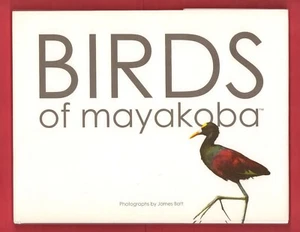 James Batt: Birds of Mayakoba, Signed. - Picture 1 of 11