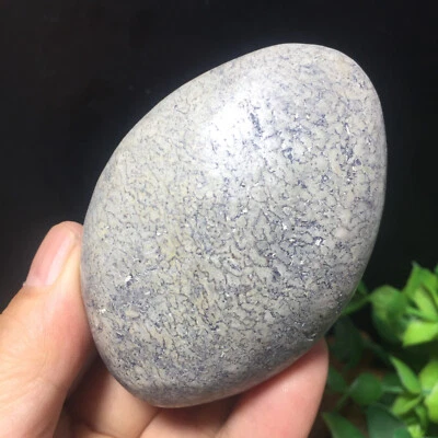 118g Natural polished bone specimen Madagascar 24 - Image 1 of 4