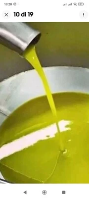 olio extravergine di oliva 5 litri 2025-26 Varieta Coratina Leccino   - Immagine 1 di 4