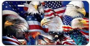 PATRIOTIC LICENSE PLATE LIBERTY EAGLE AUTO TAG - Foto 1 di 1