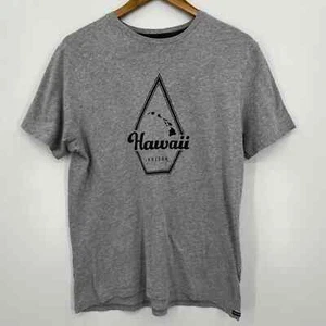 Volcom T-Shirt Men's Size M Gray Stone Hawaii HI Logo Short Sleeve Crew Neck - Picture 1 of 9