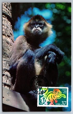 3832 Chinese Lunar New Year, Year of the Monkey FDC Maxi Card - Image 1 of 2