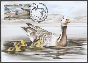 Kyrgyzstan 2023 Birds Maximum Card - Picture 1 of 1