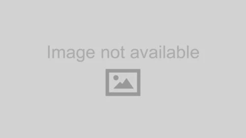 Juego de anillos Manley para 02+ Acura RSX K20A-A2-A3 DOHC V-Tech / Mitsubishi (Varios Foto 1 de 1