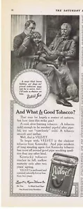 1917 VELVET Tobacco Velvet Joe English Springer Spaniel Print Ad - Bild 1 von 2