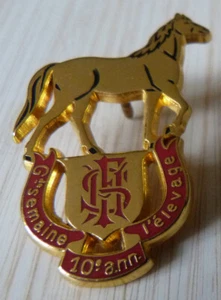 RARE PIN'S EQUITATION CHEVAL 10 EME ANNIVERSAIRE L'ELEVAGE ARTHUS BERTAND - Foto 1 di 3