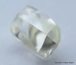 MACKLE DE DIAMANTES DE 1,10 QUILATES H VVS2 DE LA MINA DE DIAMANTES. DIAMANTE NATURAL EN BRUTO - Imagen 1 de 7