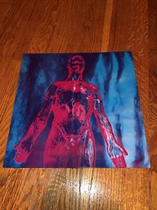 NIRVANA SLIVER DIVE LP Record HTF Blue Marble Kurt Cobain Rare OOP AIC Deftones - Picture 1 of 12