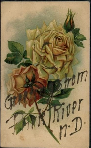 Grüße aus Park River 1909, ND Walsh County North Dakota Postkarte - Bild 1 von 2