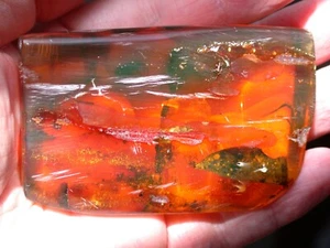 Extinct Hymenaea Leaf in Beautiful Deep Orange Dominican Amber Fossil LARGE 64 g - Picture 1 of 16