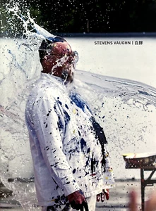 Stevens Vaughn - 白胖 White And Fat 2018 Art Monograph China Water Painting HC DJ - Picture 1 of 24
