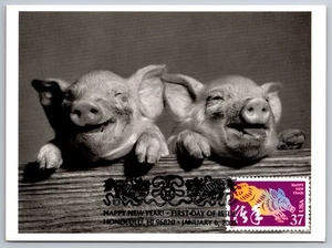 3895l Chinese Lunar New Year Boar FDC Maxi Card - Picture 1 of 2