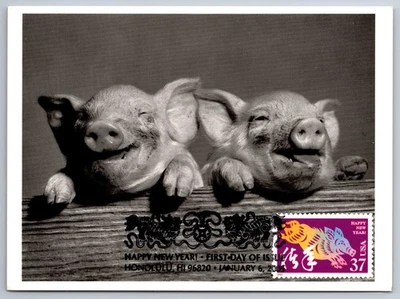 3895l Chinese Lunar New Year Boar FDC Maxi Card - Image 1 of 2