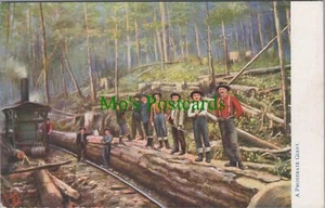 Industry Postcard - USA - California Giant Trees - A Prostrate Giant Ref.RS29359 - Picture 1 of 2