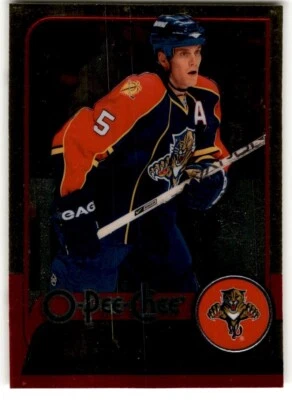 Bryan Allen 2008-09 O-Pee-Chee Metal #29 Florida Panthers - Image 1 of 2