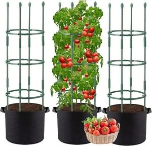 Flowers Vegetable Cages for Cucumbers Eggplants Vertical Climbing Plants Vines - Picture 1 of 7