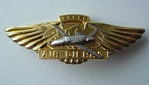 RARE Air Sierra Slovenian Defunct Airlines PILOT Golden Wings Brass Badge - Picture 1 of 6
