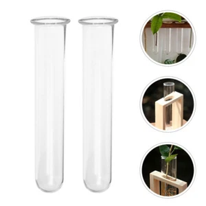 4 Pezzi Tubo Prova Vaso Singolo Fiore Propagazione Tubi per Piante Fioriere Vetro - Foto 1 di 12