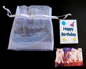 Juego/2 imanes de refrigerador de celebración; cumpleaños y gatos; en bolsa de regalo con cinta y corbata - Imagen 1 de 12