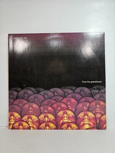 VINYL LP by CRACK THE SKY "FROM THE GREENHOUSE" (1989) Prog Rock VG+ - Picture 1 of 6