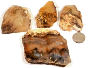 4 Attractive Agates Graveyard? Total 6.2 Ounces Free Ship 1st 4 Pic Wet #3608 - Picture 1 of 7