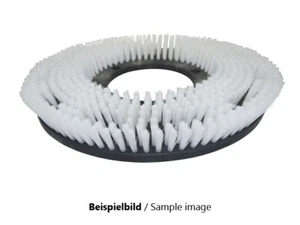 Schrubbbürste - Waschbeton - Prolite passend für Nilco 500 ZRG heavy - Poly 0,45 - Bild 1 von 1