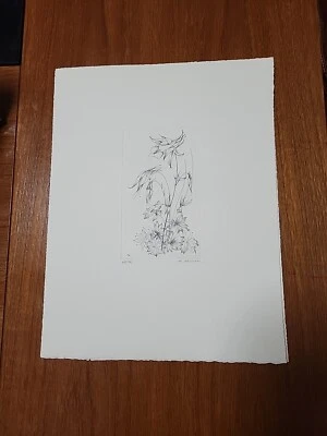 Margot Weemaes Belgian Modernism Etching Floral Botanical  Signed/#'d  47/100 - Imagem 1 de 4