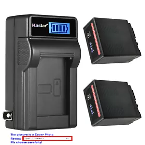 Kastar VW-VBG6 Pro Battery LCD Wall Charger for Panasonic HDC-SD20 SD300 SD600 - Picture 1 of 11