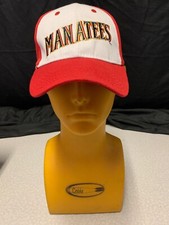 Brevard County Manatees Minor League Baseball Marlins Expos Brewers AA RARE WSUR